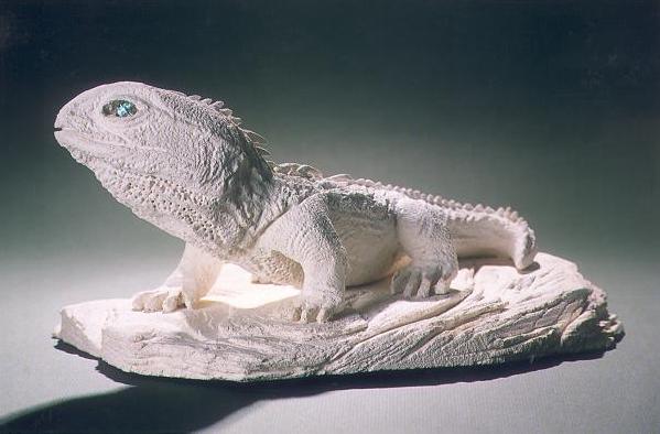 oamaru stone tuatara