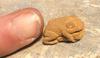 this is the little frog I called midget and got me into sculpting 